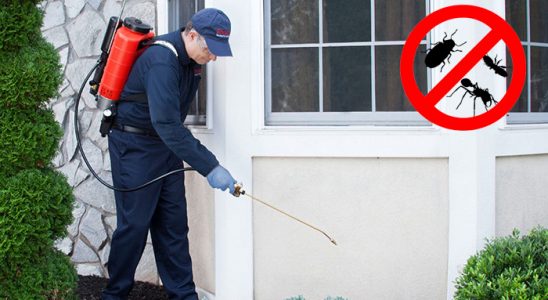 Doğanşehir Gümüşkurt İlaçlama böcek ilaçlama ve haşere kontrolü — ilaclama-tr.com